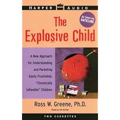 Explosive Child