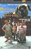 Review   / The Sandlot