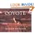 Coyote