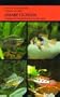 Dwarf Cichlids (American Cichlids)