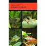 Dwarf Cichlids (American Cichlids)
