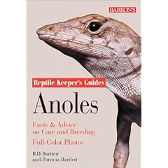 Anoles (Reptile & Amphibian Keeper's Guides)