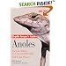 Anoles: Facts & Advice on Care and Breeding (Reptile Keeper's Guide)
