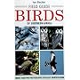 Field Guide to the Birds of Southern Africa (Photographic Field Guides)