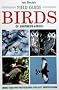 Field Guide to the Birds of Southern Africa (Photographic Field Guides)