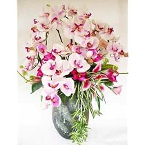 【胡蝶蘭　とカサブランカ】の豪華なアレンジ　ピンク　シルクフラワー　（CT触媒加工）　新築祝い・開店祝い　に好適