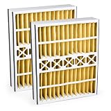 16 x 25 x 5 Merv 11 Trion Air Bear Repl Filter (2 Pack) - Free Shipping!