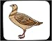 Mouse Pad with falcon, brown, bird, peregrine