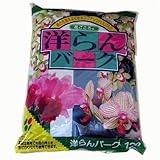 �Ԃ����� �m���o�[�N 12l