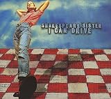 I Can Drive