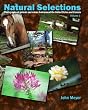 Natural Selections: Photographs of animals and nature around the United States and Canada