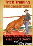 Trick Horse Training Fundamentals I