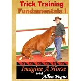 Trick Horse Training Fundamentals I