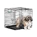 Midwest 1524DD 24-By-18-By-19-Inch iCrate Double-Door Pet Crate