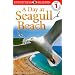 DK Readers: Day at Seagull Beach (Level 1: Beginning to Read)