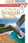 DK Readers: Day at Seagull Beach (Level 1: Beginning to Read)