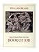 William Blake Illustrations of the Book of Job: Illustrations of the Book of Job (Virginia Museum of Fine Arts) by Malcolm Cormack ISBN 0917046498