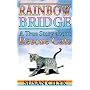 Rainbow Bridge - A True Story About Rescue Cats