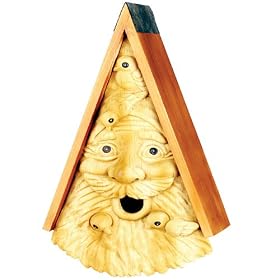 Red Carpet Studio Birdie In The Woods Saint Francis Bird House from Bird Houses