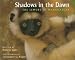 Books : Shadows in the Dawn: The Lemurs of Madagascar