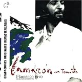 Flamenco Vivo