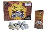 Break Your Own Geodes High Quality Kit 12 Whole Geodes