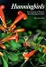 Hummingbirds: A Celebration of Nature's Most Dazzling Creatures by Ben Sonder