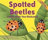 Spotted Beetles: Ladybugs in Your Backyard (Backyard Bugs)