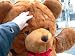 GIANT 48 FRIENDLY TEDDY BEAR - HUGE SOFT JUMBO STUFFED PLUSH BEAR - COLOR: BROWN