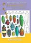 Incredible Insects 2011 Coloring Calendar