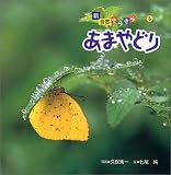 あまやどり