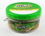 Berkley Gulp! Alive! Shrimp 32 OZ Bucket, 3-Inch, Molting