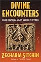 Divine Encounters: A Guide to Visions, Angels, and Other Emissaries