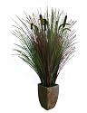 Laura Ashley 48&iquest; Onion Grass plant