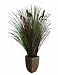 Laura Ashley 48¿ Onion Grass plant