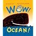 Wow! Ocean!