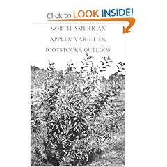 North American Apples: Varieties, Rootstocks, Outlook