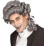 Immortal Male Colonial Gray Silver Wig - Adult Std.