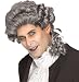 Immortal Male Colonial Gray Silver Wig - Adult Std.