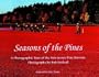 Seasons of the Pines: A Photographic Tour of the New Jersey Pine Barrens