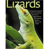 lizards