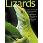 Lizards