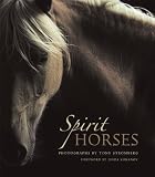 Spirit Horses