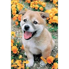 300ピース コロたんスマイル 300-179