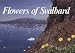 Flowers of Svalbard