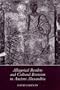 Allegorical Readers and Cultural Revision in Ancient Alexandria