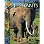 Elephants (Zoobooks)