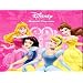 Disney Princess Magnetic Activity Game Book