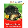 Welpen erziehen mit dem Rudelkonzept