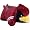 Arizona Cardinals
